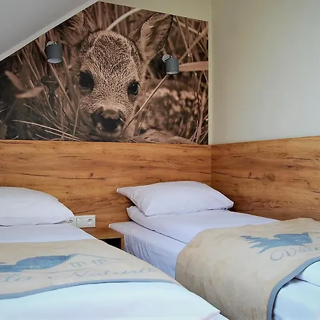 Bed and breakfast Natura Przeciszów Zator