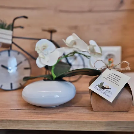 فندق مبيت وإفطار Natura Przeciszow زاتور