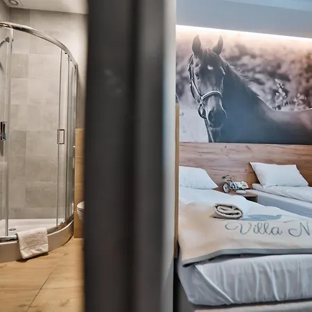 Bed and breakfast Natura Przeciszów 3*