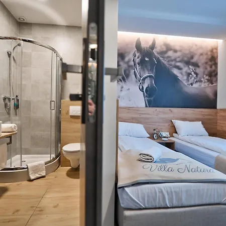 فندق مبيت وإفطار Natura Przeciszow 3*