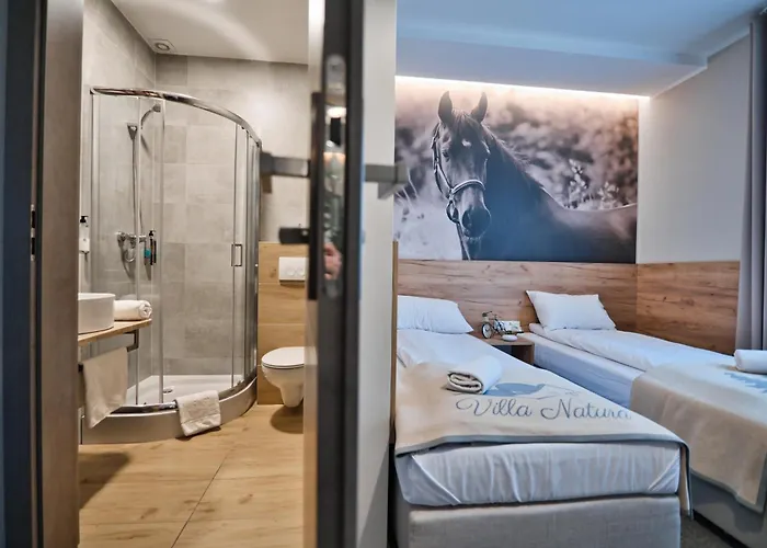 Bed & Breakfast Natura Przeciszow 3*